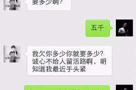 大方贷款清欠服务